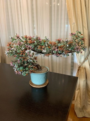 Bonsai jade δέντρο συλλεκτικό σαν καινούργιο σε κεραμική γλάστρα