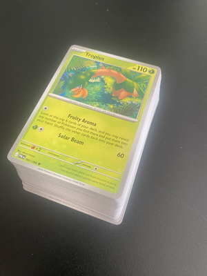 Pokemon Cards Set Pitch Black 80 singles like new