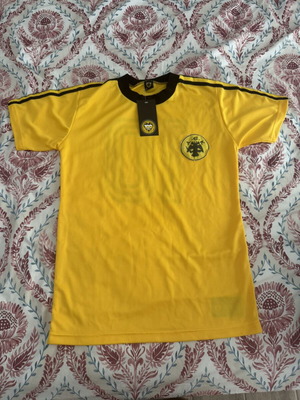 AEK Authentic Replica ΠΑΕ ΑΕΚ Συλλεκτική one size