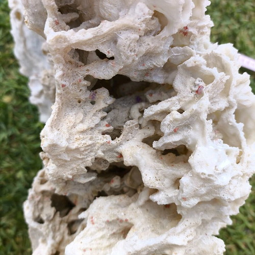 Old Marine Decorative Coral like new, 45 cm length
