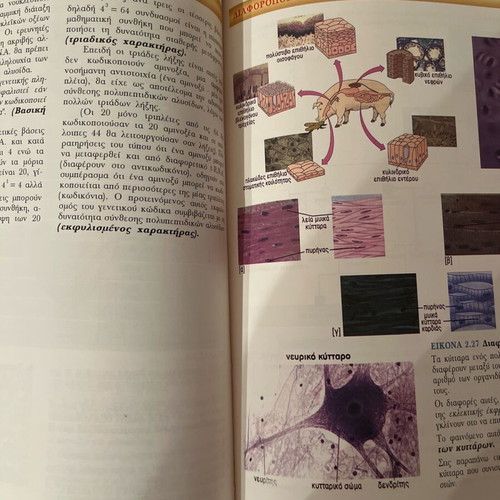 Biology Atlas used, 216 pages, Orosimo editions