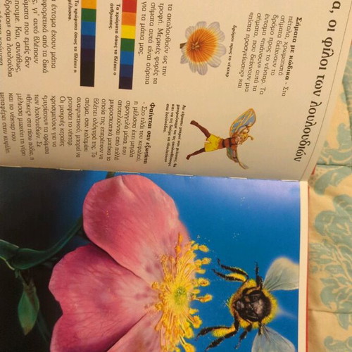 Stratiki children's encyclopedia used, Plants the green of the earth