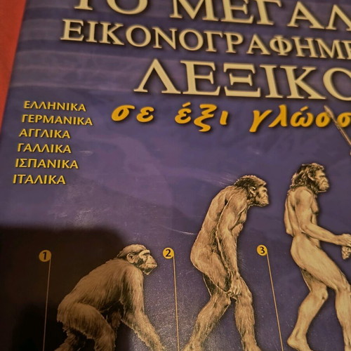 Large illustrated dictionary in six languages like new