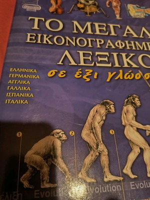 Large illustrated dictionary in six languages like new