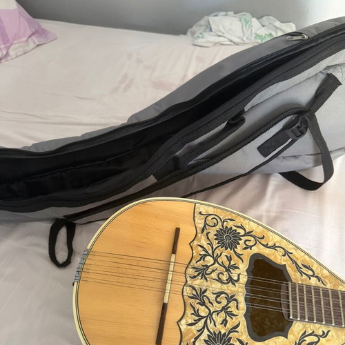 Bouzouki with case and pick like new