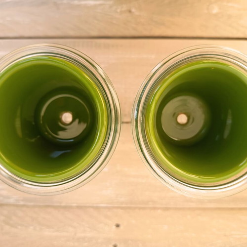 Self-Watering Plant Vases by Nature & Découvertes used