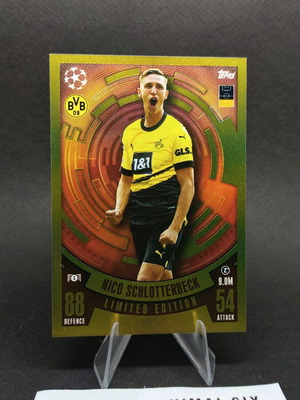 Schlotterbeck limited edition collectible card like new
