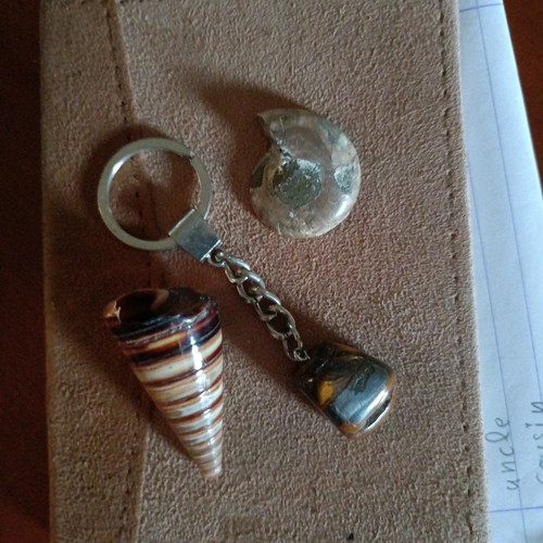 Keychain rock and fossils new with steel chain