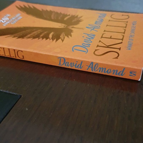 Skellig foreign language book like new with box now