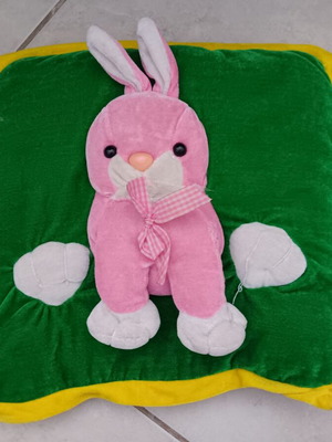 Children's decorative pillow with bunny like new