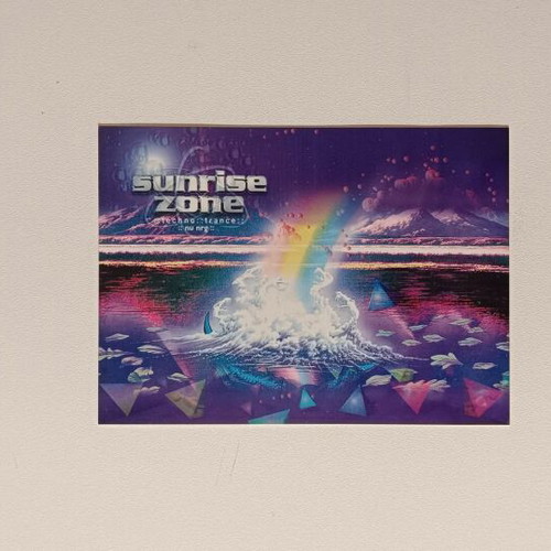 Sunrise Zone Electronic Music Flyer like new