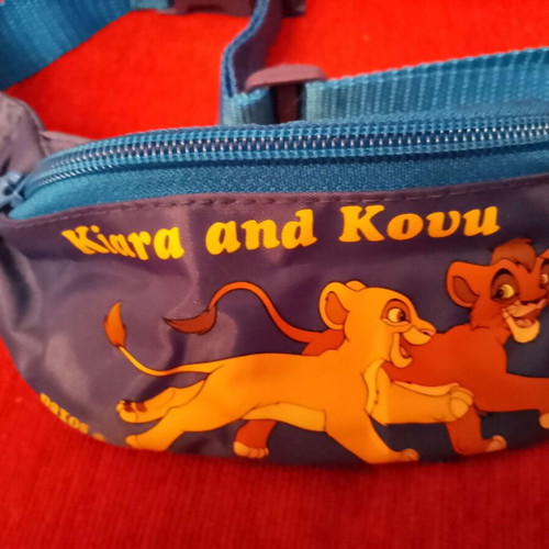 Simbas Pride Dishgy 1990 waist bag new for child up to 12 years