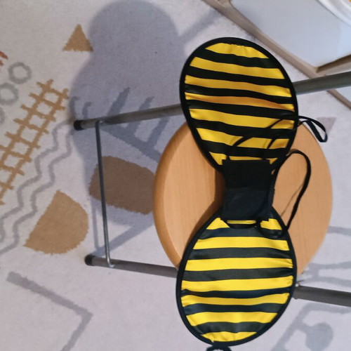 Carnival bee costume like new, size 3-4 years
