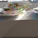  Φλυτζάνι τσαγιού Μοναδικό _Ritzenhoff design my tea cup and saucer ,Bone china porcelaine