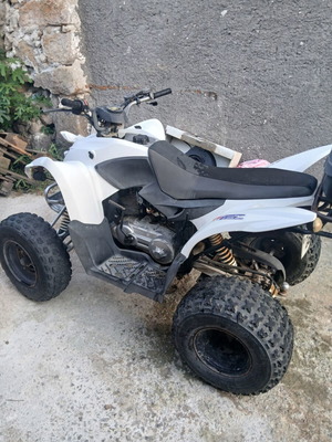 Aeon Cobra 220 ATV used, automatic, 220 cc, white, 2011