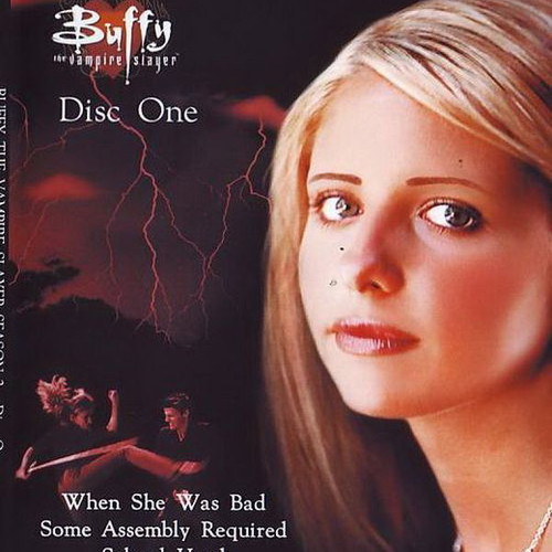 Buffy The Vampire Slayer Season 2 DVD used, with subtitles, full season pack
