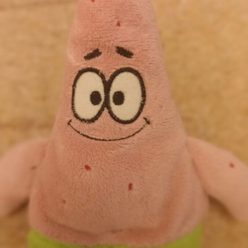 Patrick the starfish plush toy