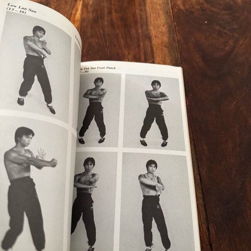The Breaking Power of Wing Chun book used, rare