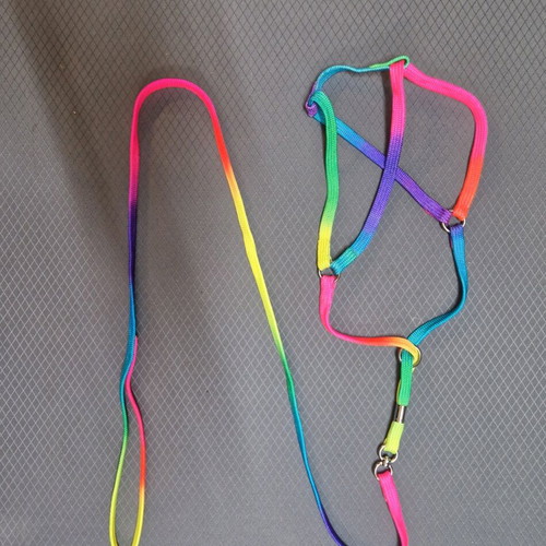 Set of colorful leash with adjustable collar and full harness, new