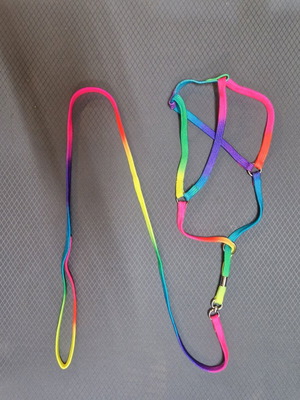 Set of colorful leash with adjustable collar and full harness, new