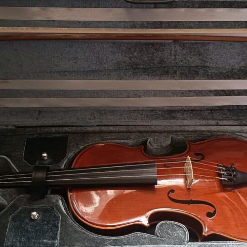 Stentor 4/4 violin like new with case and accessories