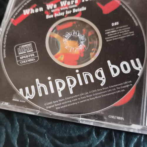 Whipping Boy When We Were Young Promo CD Single like new, rock