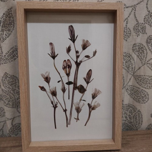 Frame 32cm x 22cm new