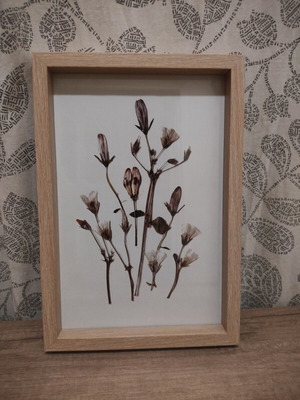 Frame 32cm x 22cm new