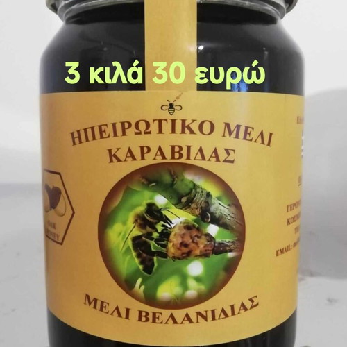 Oak honey 3 kg new in glass jar