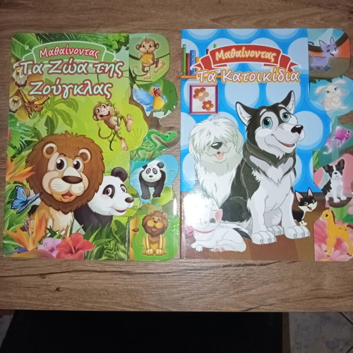 Learning children's books set of 2, like new