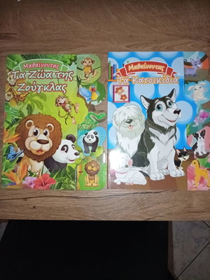Learning children's books set of 2, like new