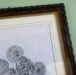 Pencil sketch in wooden frame with protective glass