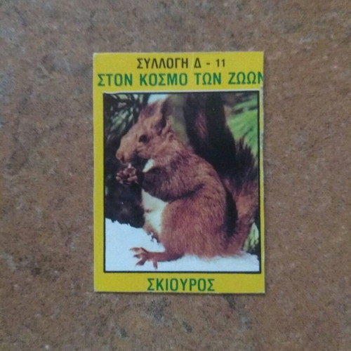 Squirrel collectible card like new from Blek collection