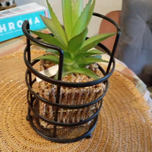 Decorative plant in seaweed new, together