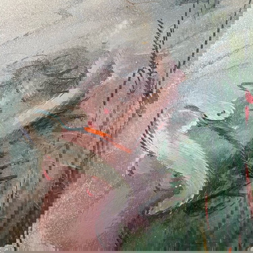 Ф. Муратиду неповторимо произведение на изкуството в златна рамка!!