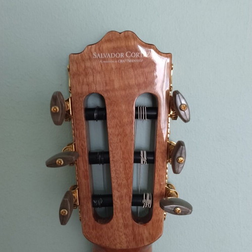 Trichordo Bouzouki, classical guitar, Boss DR 880 drum machine, Hohner instrument stand, tuner, metronome