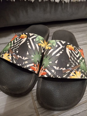 Pareoo women's slippers size 38 used, tropical toucan print