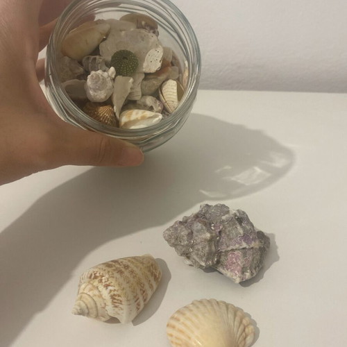 Jar with shells like new from Gibraltar and Greece for decoration