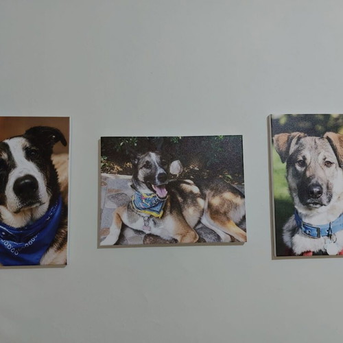 Canvas with custom print, 40x30cm
