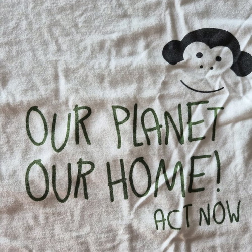 Keen Organic White Cotton T-shirt for Girl 12 Years Like New