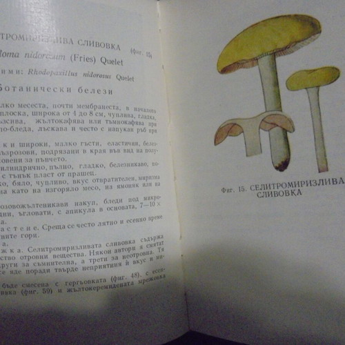 Old book "Poisonous Mushrooms and Their Edible Lookalikes" by Dimitar Gruev