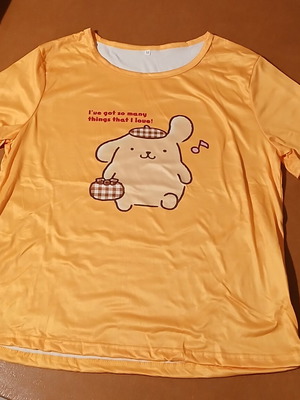 Pompompurin σετ πιτζάμας γυναικεία μέγεθος M καινούργιο πολύχρωμο