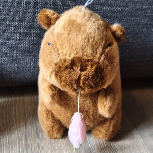 Capybara plush toy with pull carrot, like new