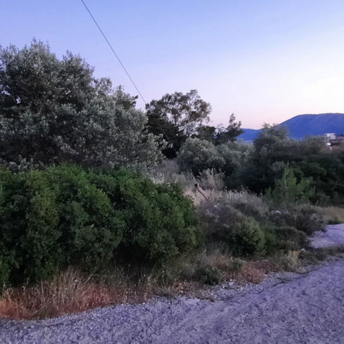 Land 1,500 m² in Drafi, corner plot, within city plan