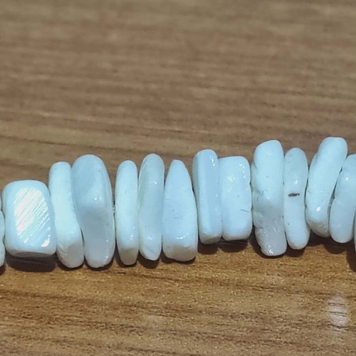 Set Necklace and Bracelet from White Shells like New