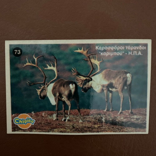 Chiquita Jungle collectible sticker No. 73 like new