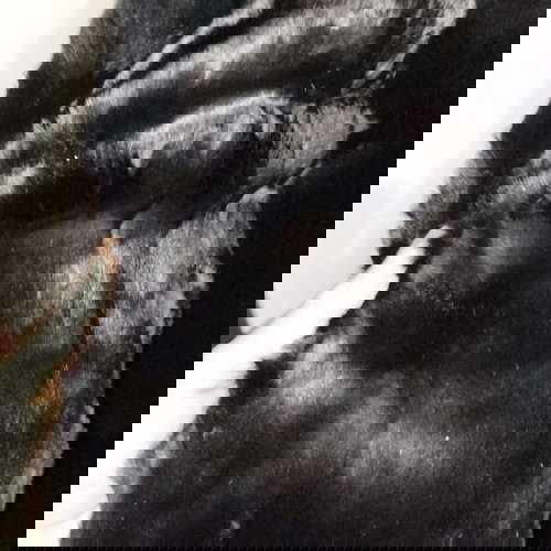 Αφορετη γούνα medium μαύρη με κοντό πέλος και στρογγυλό γιακά καινούργια