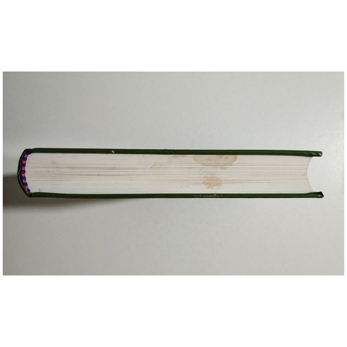 Nelson Basic Pediatrics Volumes A and B like new