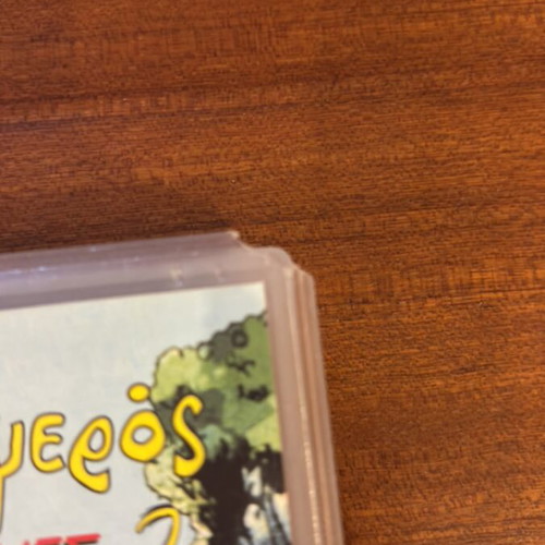 Dennis the Menace 2 used dubbed videocassette