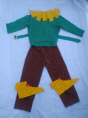 Robin Hood carnival costume used for 8 years old